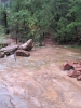 PICTURES/Emerald Pool Hike/t_Emerald Pool - Stream4.jpg